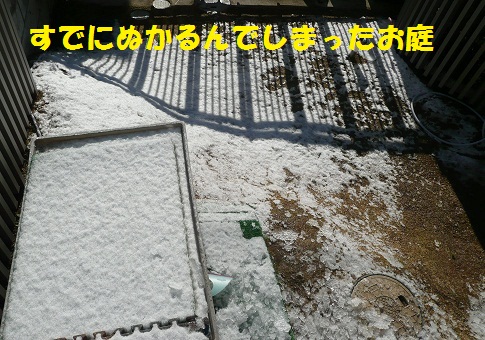 f0121712_1582194.jpg