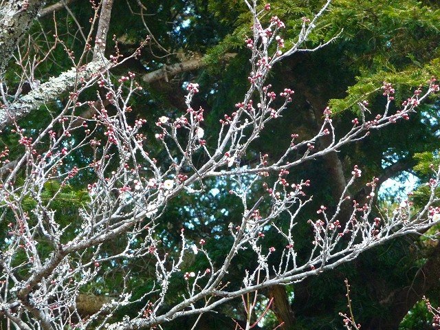 f0182513_23314487.jpg