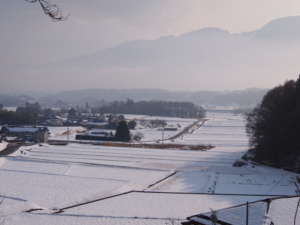 d0183417_051119.jpg