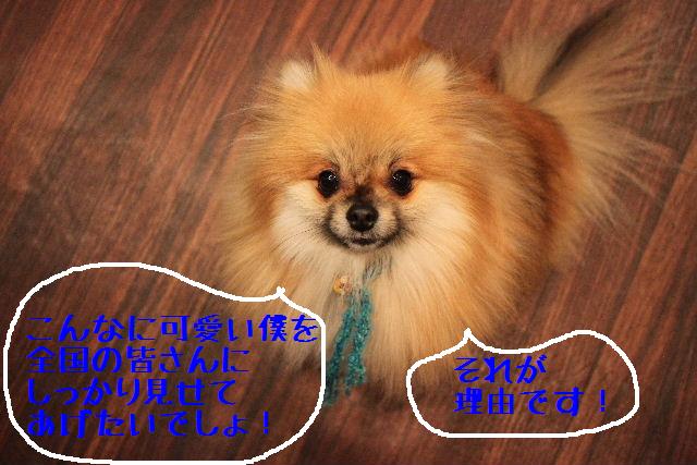 寒すぎ！_b0130018_1801551.jpg