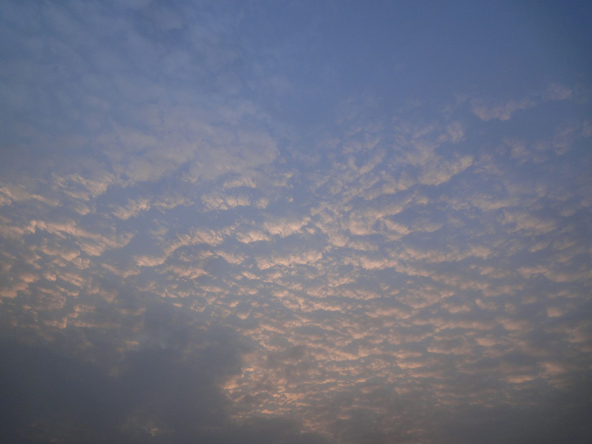 b0207724_3385798.jpg