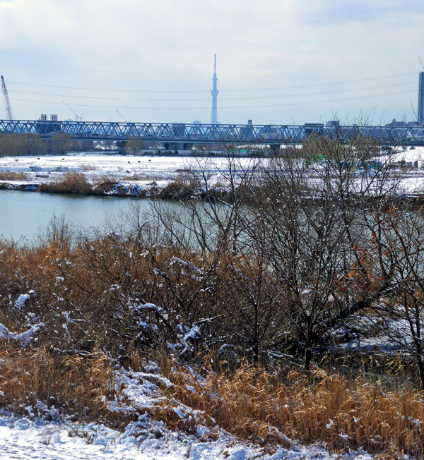 戸定が丘歴史公園・雪景色　後編_c0223825_740245.jpg