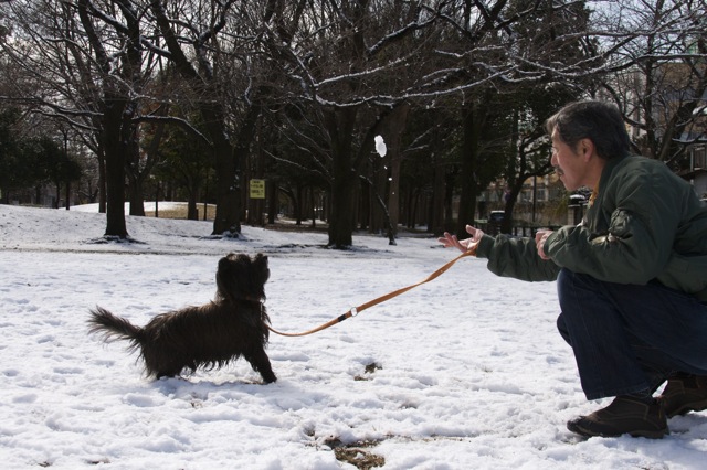 雪、積もりました♪---2012年バージョン_e0021328_0181341.jpg