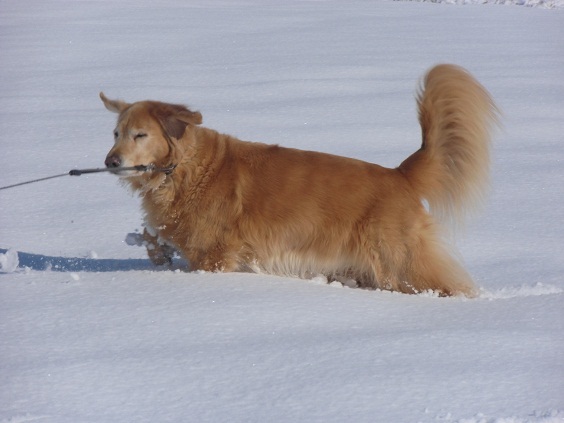 今シーズン初の大雪_f0114128_1857262.jpg