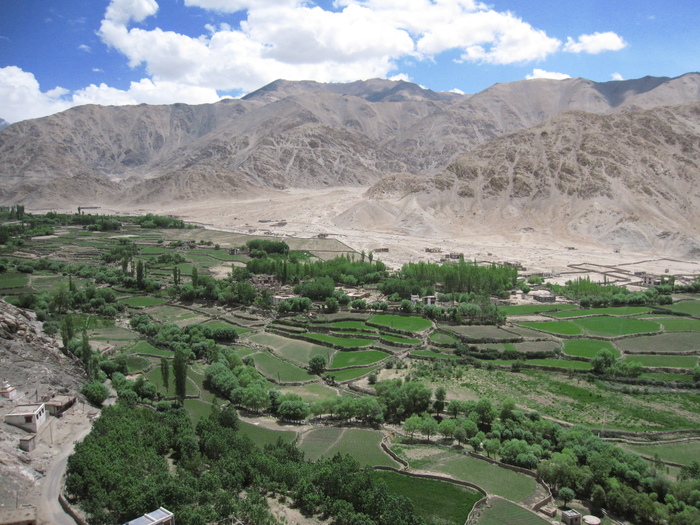タクトク・ゴンパとチェムレ・ゴンパ Taktok&Chemrey Gompa_e0155231_042162.jpg
