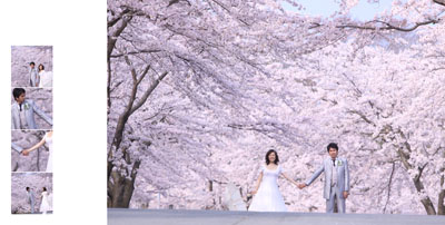 桜のフォトウェディング☆静岡・結婚前撮り写真☆_a0174233_1842893.jpg