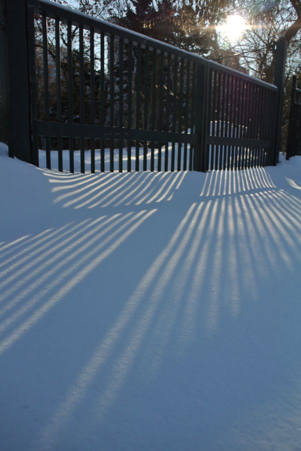c0162846_2072434.jpg
