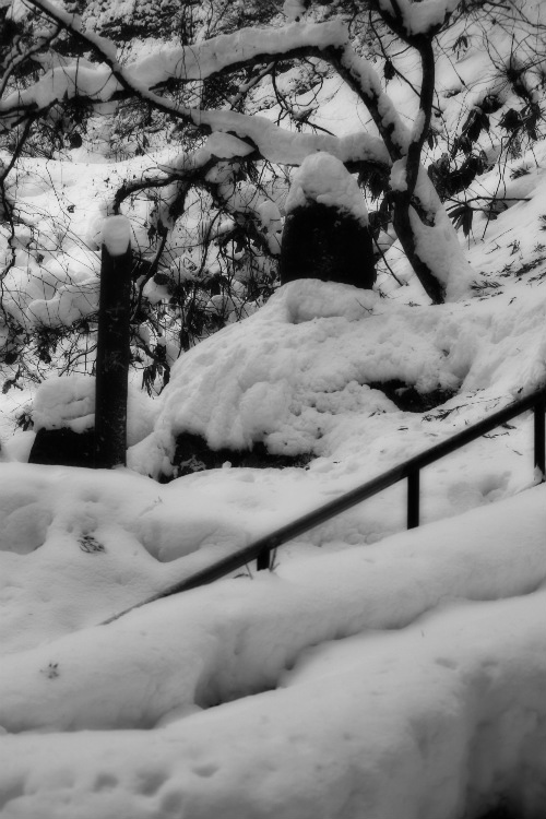 雪景色の山寺３＠山形県_f0048546_612022.jpg