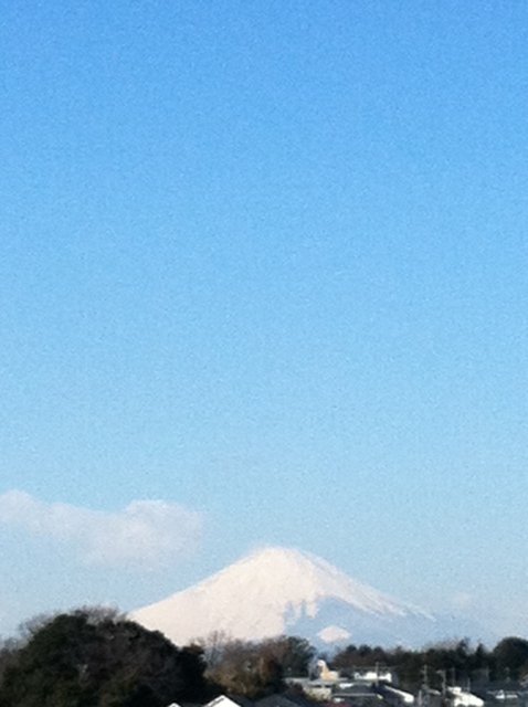 雪富士・・・冬はいい眺めです・・ポロネギもしっかり太って甘くなっています_c0222448_14131657.jpg