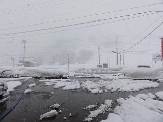 雪が降ります・降ります_a0084753_13135233.jpg