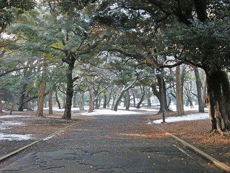 1月26日 東京散歩2012 神宮外苑_a0001354_23141583.gif