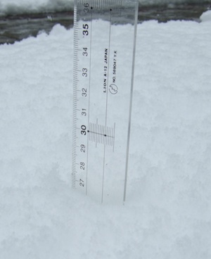 e0072660_1801041.jpg