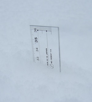 e0072660_1824299.jpg