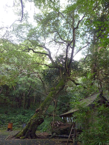 c0222861_13484958.jpg