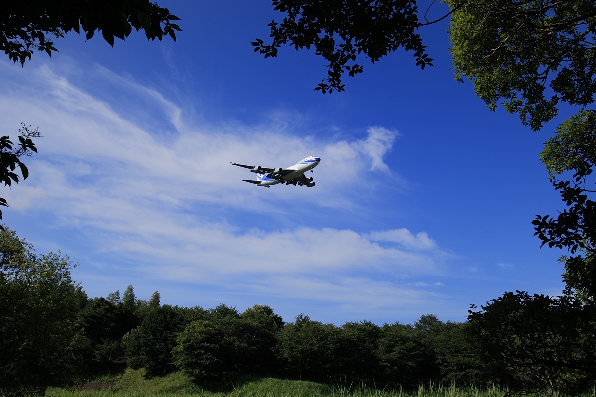 夏空が恋しい_b0116272_0175310.jpg