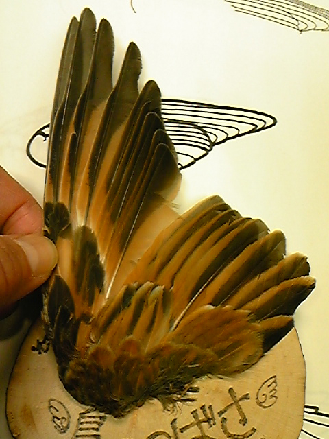 e0118274_20161662.jpg