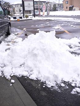 雪だるまさん _e0148776_14252276.jpg