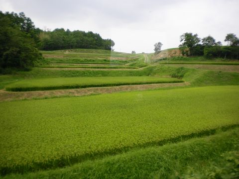 真夏の中国地方ローカル線4 (因美線・知和駅)_b0005281_2229293.jpg