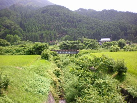 真夏の中国地方ローカル線4 (因美線・知和駅)_b0005281_22332278.jpg