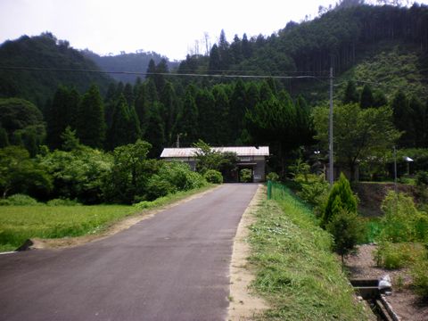 真夏の中国地方ローカル線4 (因美線・知和駅)_b0005281_22343864.jpg