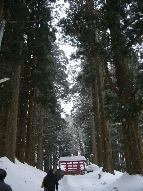 津軽の厄払いと鬼っ子ツアー③ 厳鬼山神社_c0198781_15464143.jpg