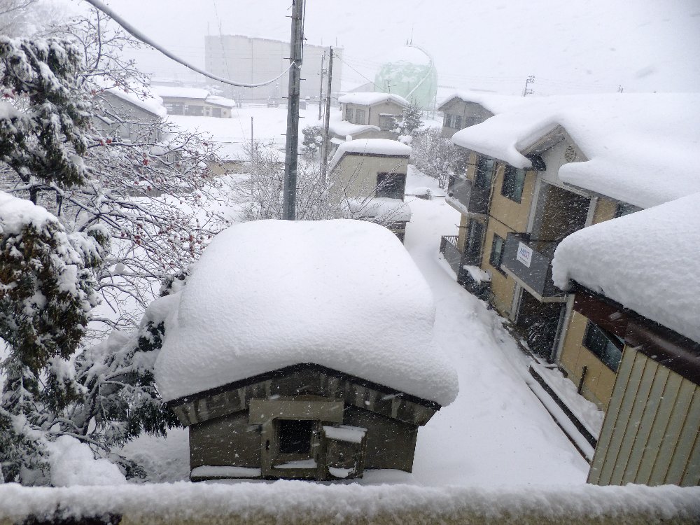 積雪の状況です_e0087201_1165867.jpg