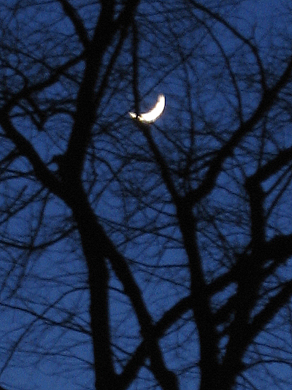 e0211204_525492.jpg