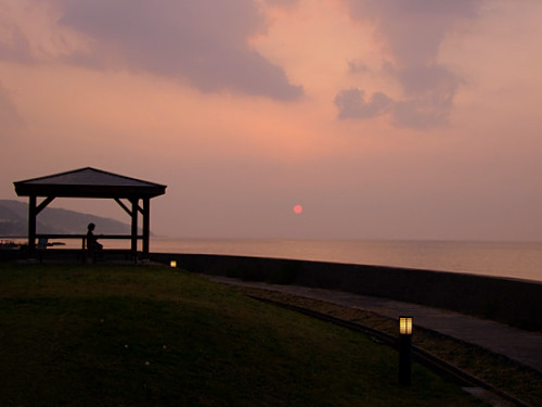 「島根県 出雲 多伎の海とイルカとタラソテラピー マリンタラソ出雲」_a0000029_125096.jpg