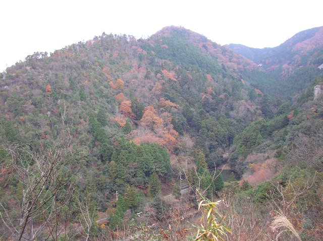 c0029332_22141879.jpg