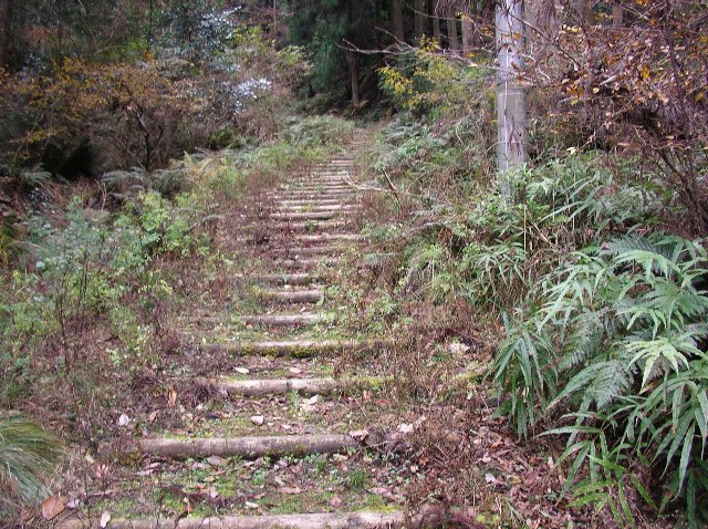 c0029332_22173645.jpg
