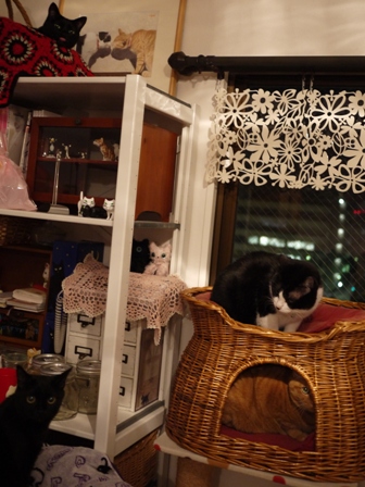 猫がいっぱい猫 空しぇるのぇるろった編。_a0143140_2265591.jpg