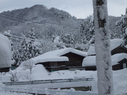 雪、また雪_c0202242_14415086.jpg