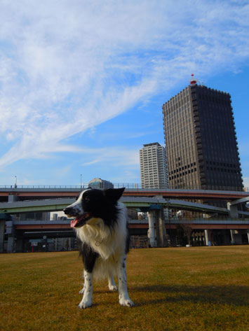 風邪っぴき…凹　　　　　　　　　　2012年1月27日_b0106643_9233948.jpg