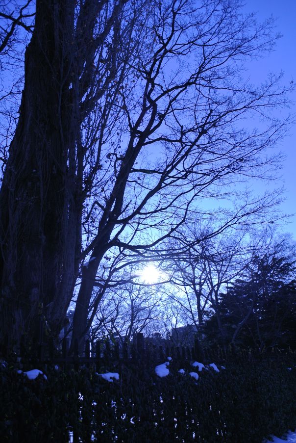 c0162846_23322994.jpg