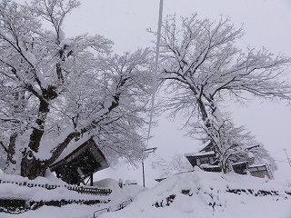 毘沙門様の山門_a0084753_16532211.jpg