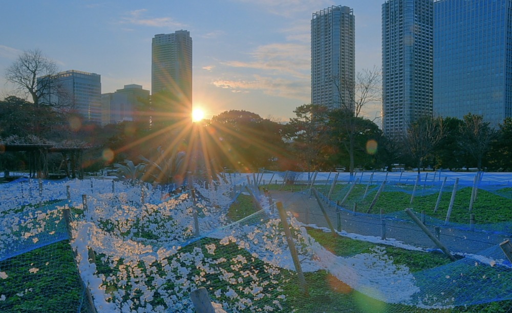 ダイヤモンド富士・府中市南町　　　　浜離宮恩師庭園雪景色？_a0150260_23577.jpg