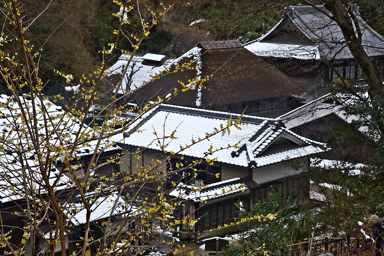 川崎　日本民家園（1月24日）_c0057265_338153.jpg