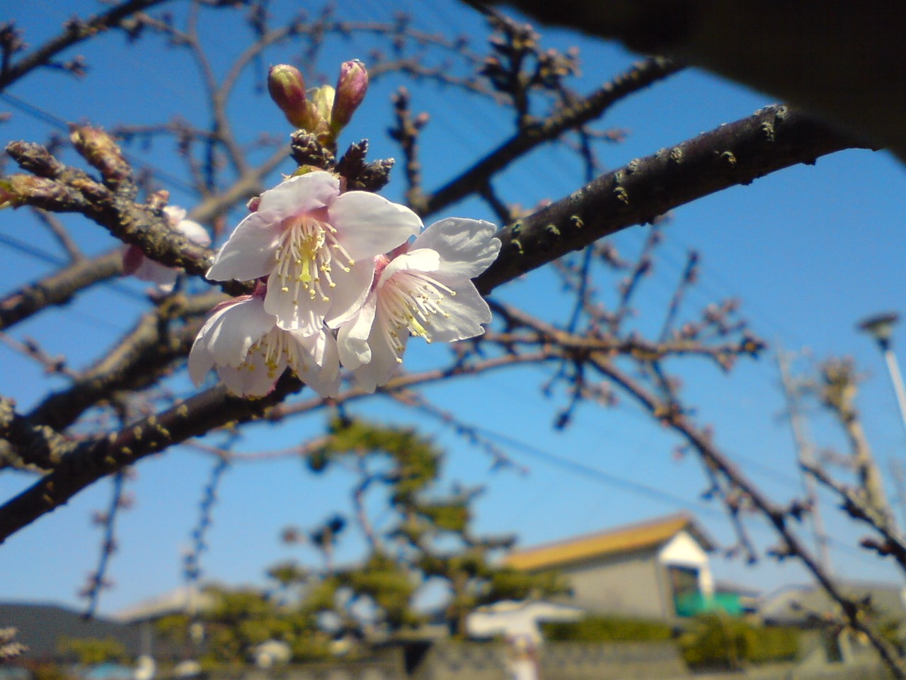 考えすぎ_a0040876_12184792.jpg