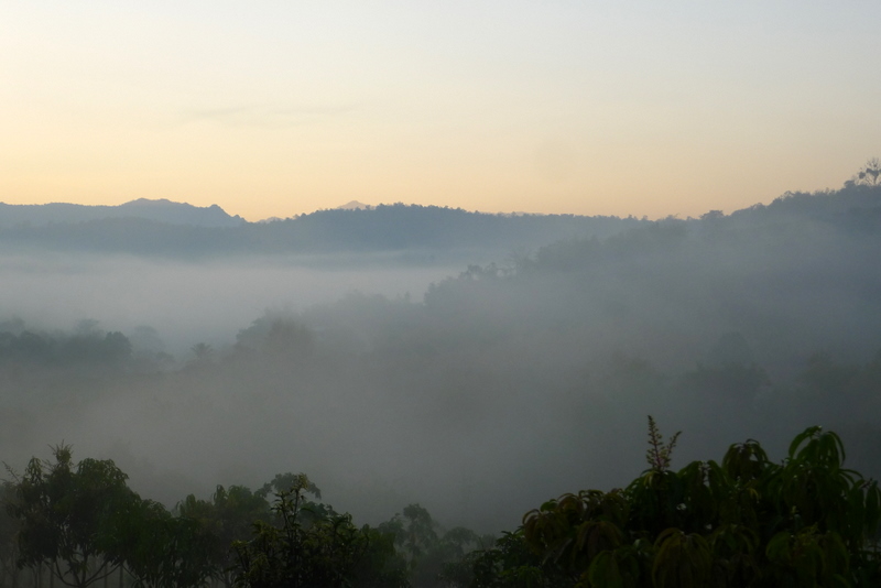 f0178278_80324.jpg