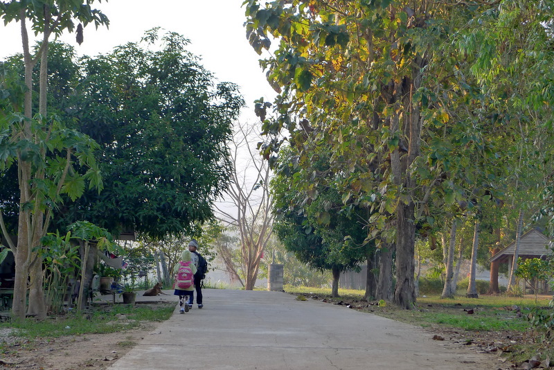 f0178278_81845.jpg