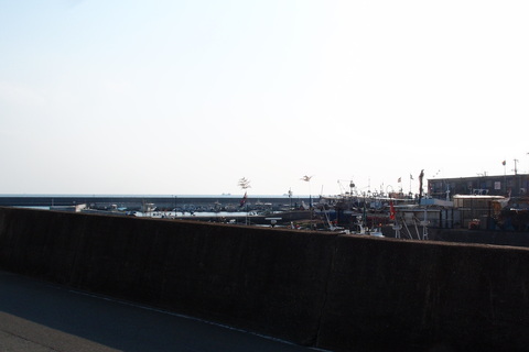 e0024081_16395362.jpg