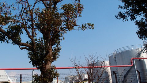 e0024081_1640074.jpg