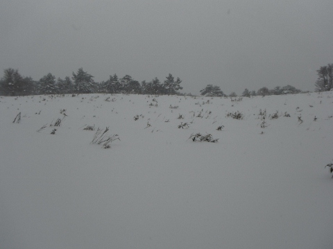 f0082181_20211410.jpg