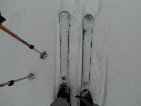 f0082181_2041629.jpg