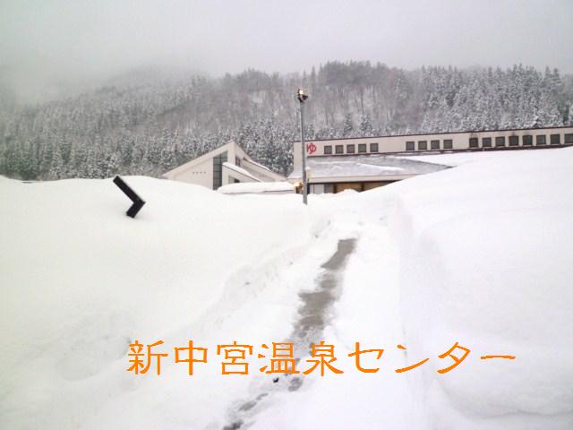 d0182188_2021655.jpg