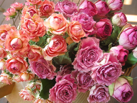 e0229288_9532182.jpg
