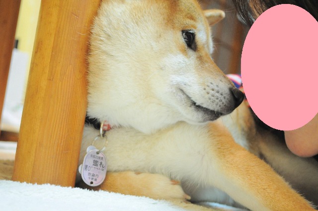 どうしてそんなに優しいの_a0126590_002511.jpg