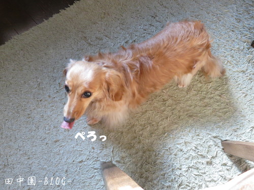 眼精疲労 VDT症候群_b0200291_1959533.jpg