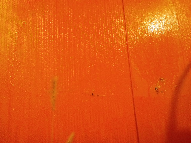 b0234697_1372342.jpg