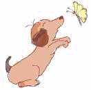 c0090198_535275.gif